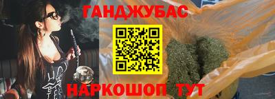 прущие грибы Пенза