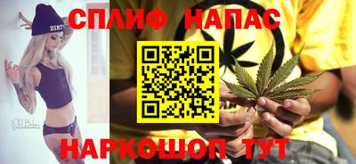 прущие грибы Пенза